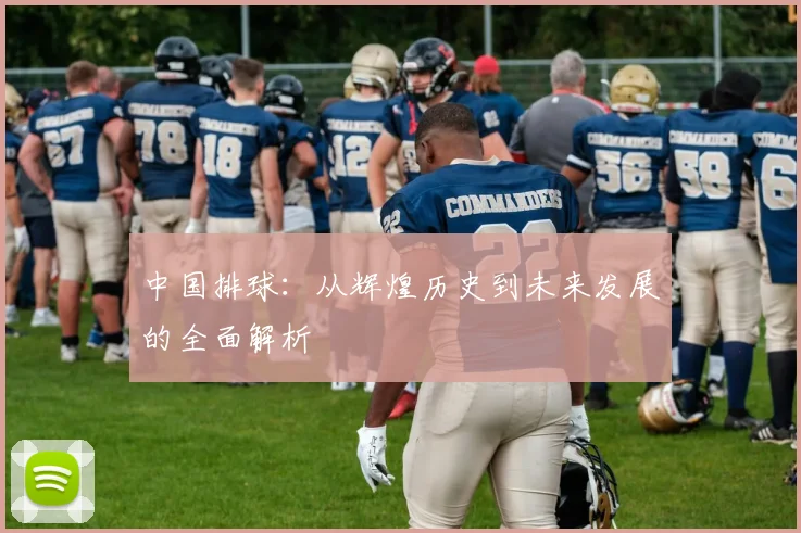 中国排球:从辉煌历史到未来发展的全面解析