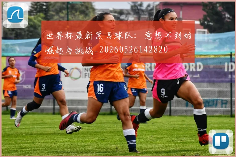世界杯最新黑马球队:意想不到的崛起与挑战_20260526142820