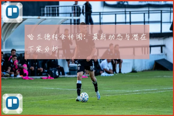 哈兰德转会传闻：最新动态与潜在下家分析
